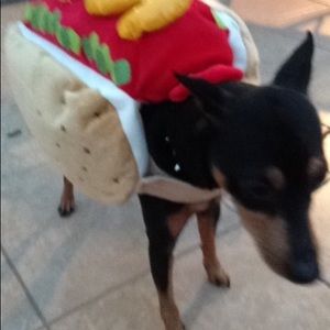 Meet your Posher, Pedro